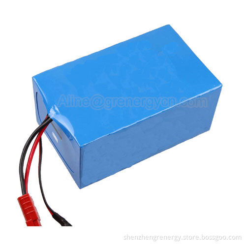 Batterie Lithium Ionen LiFePO4 12V 20Ah Pack